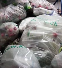 Engagiert für die Umwelt