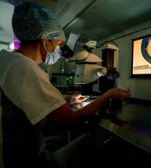 Das Kinderwunschzentrum der Lindenhofgruppe hat die Höchste Erfolgsrate