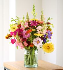 Tag der Freiwilligen