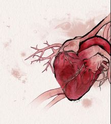 Lindenhofgruppe lanciert Kampagne zu medizinischen und pflegerischen Kernkompetenzen